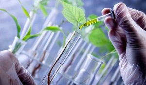 biotecnología