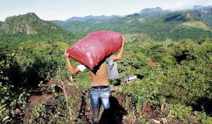 crisis alimentaria honduras