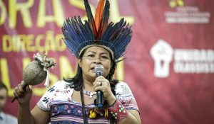 indigenas-brasil