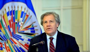 luisalmagro.jpg_1693107476