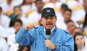 ortega