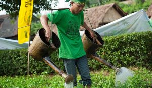 5 Juventud y derechos campesinos