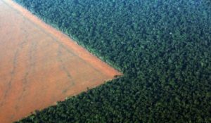 amazonia