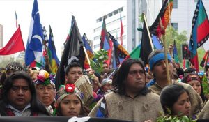 chile-mapuches