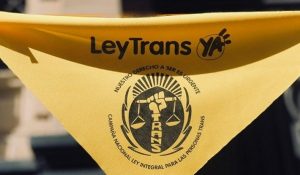 ley trans