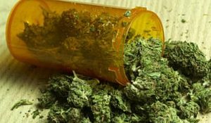 marihuana