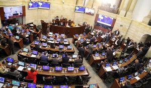senado