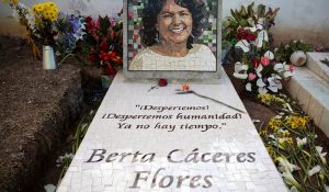 berta