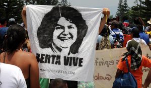 berta-vive (1)