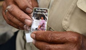 berta-vive