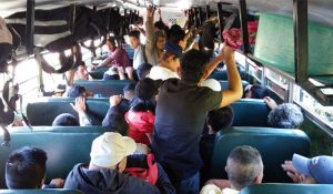 caravn