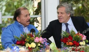 ORTEGA-ALMAGRO-OEA-744x500
