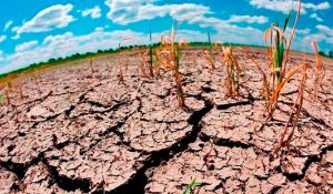 cambio climático