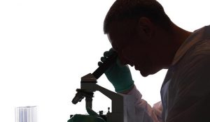colciencias-ingimage