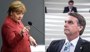 merkel