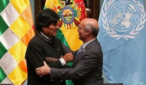 onu-comicios