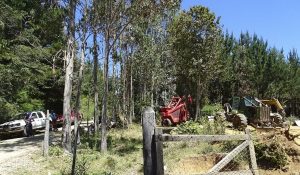 tierras