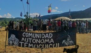 mapuche