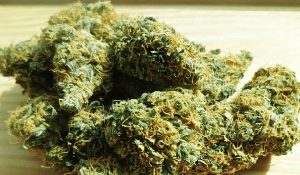 marijuana-2