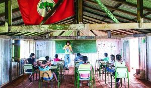 mst-escuelas