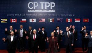 tpp