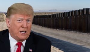trump muro