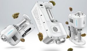 extcannabis4