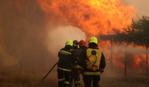 incendio forestal Chile (2)