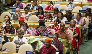 indigenas-foro