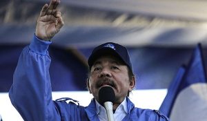 ortega