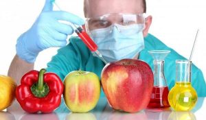 alimentos transgénicos
