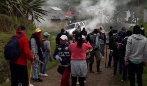 cauca