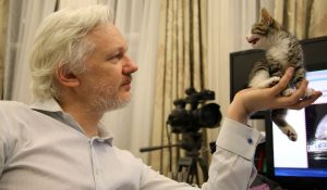 Assange