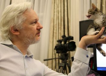 Assange