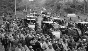 Colombia-protesta-campesina-la-tinta