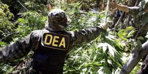 DEA Bolivia