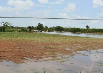 Inundaciones por intensas lluvias causaron la pérdida de cientos de hectáreas de cultivos en el 2018 / Vanguardia – Ramón Barreras