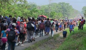 migrantes