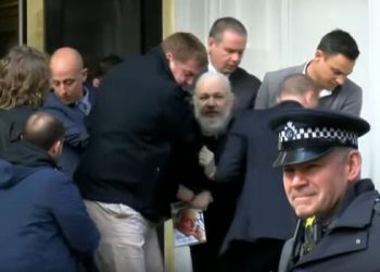 Assange