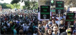 marihuana brasil chile