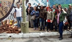 campesinos paraguay