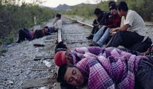 migración