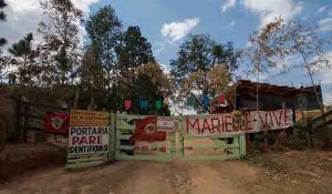 CampamentoMSTMarielleVive