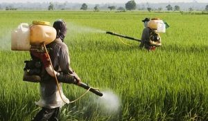 agroquimicos