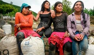 indigenas trans