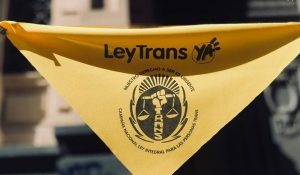 ley trans - uruguay