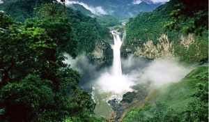 Amazonía Brasil