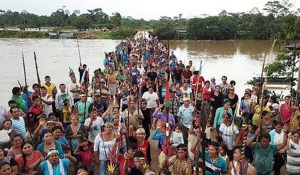 Amazonía Brasil agro
