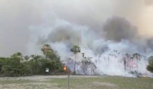Chaco Paraguayo