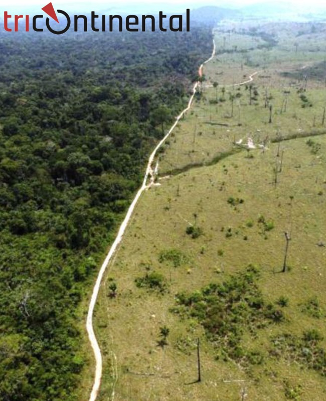 Tricontinental Amazonía